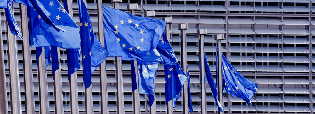 Appell: Unser föderales Europa:souverän und demokratisch